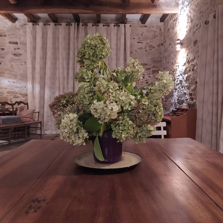 Chambre Air - Peyrehorade