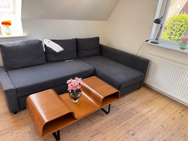 3 Bedroom City Center Apartment With Roof Terrace - Odense