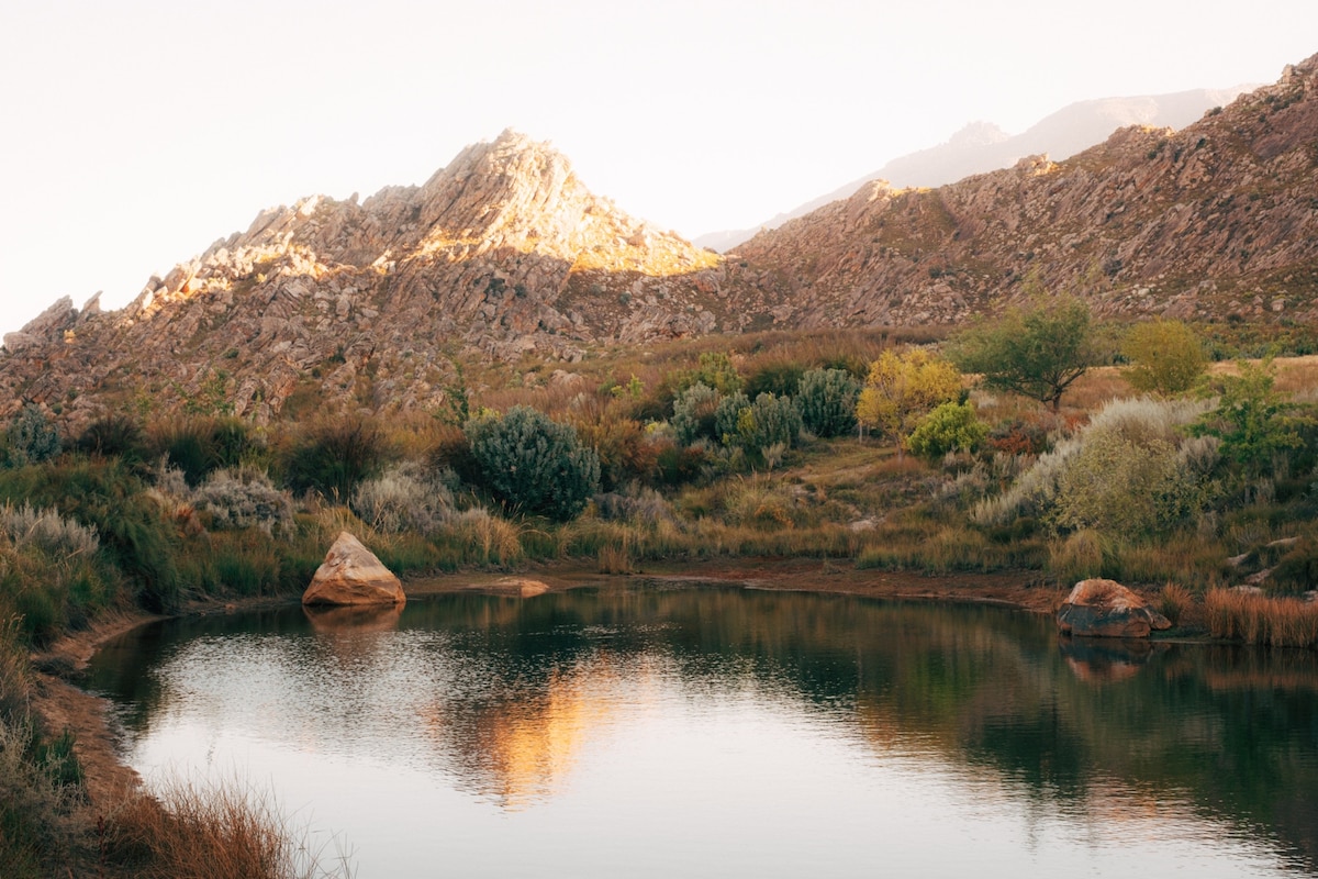 A calm pond is surrounded by diverse vegetation, reflecting the soft colors of the setting sun. Rocky mountains rise in the background, while gentle slopes of grass and shrubs create a serene and natural landscape.