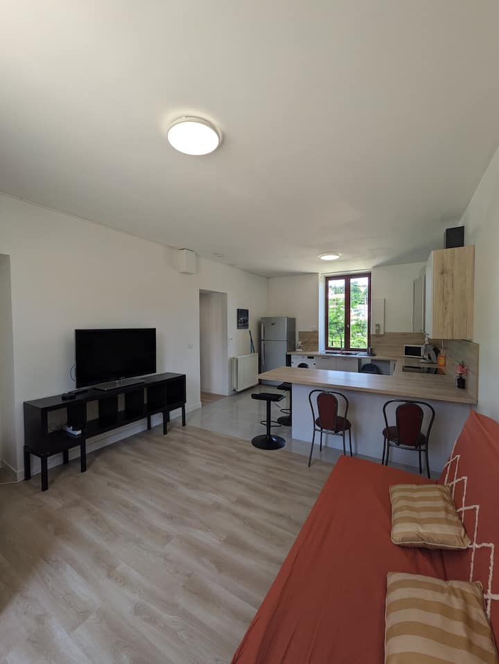T3 Lumineux, Spacieux Et Stationnement - Bourgoin-Jallieu