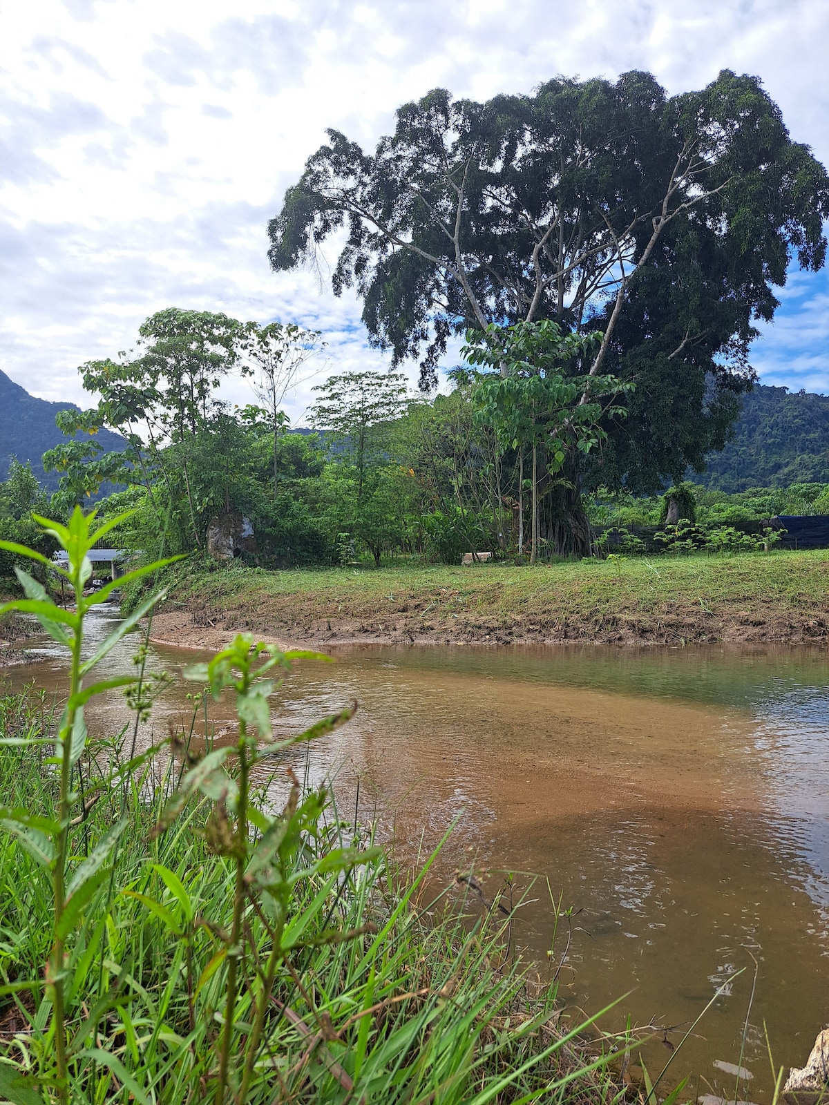 A serene riverside scene is captured, featuring a gently flowing stream bordered by lush greenery. Tall trees provide shade, while the water reflects the surrounding hills and clouds. The landscape appears inviting and natural, perfect for a peaceful retreat.