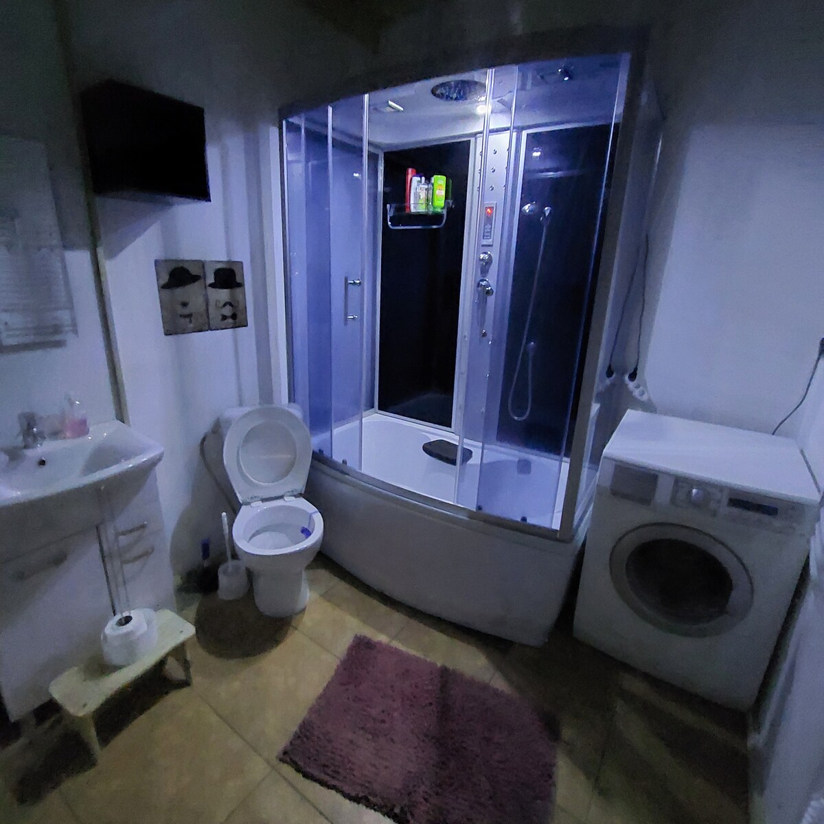 The bathroom features a modern shower unit with glass doors, equipped with multiple shower options. A white toilet and a small washbasin are positioned nearby. A washing machine is located in the corner, and a plush rug adds comfort beneath the feet.