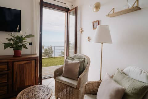 Heated whirlpool, swimming pool and sea view