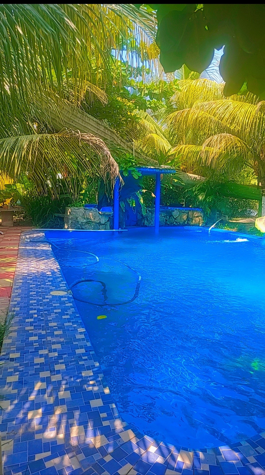 A vibrant swimming pool is surrounded by lush greenery. Tropical plants and palm trees provide natural shade, while the clear blue water reflects the sunlight. An inviting gazebo is positioned near the pool, enhancing the tranquil outdoor setting.