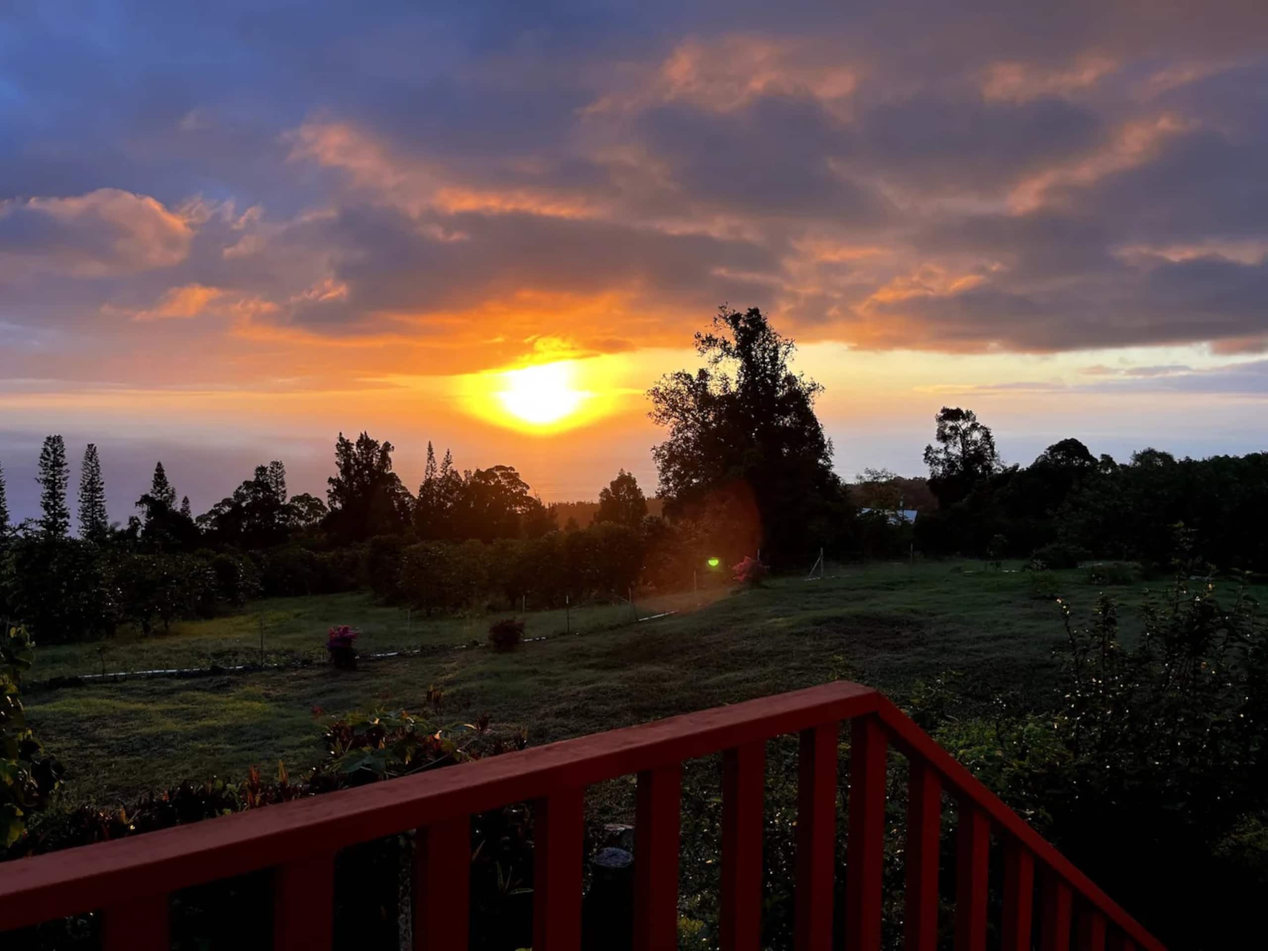 Honu Aloha Adventure Cottage - Photo 14