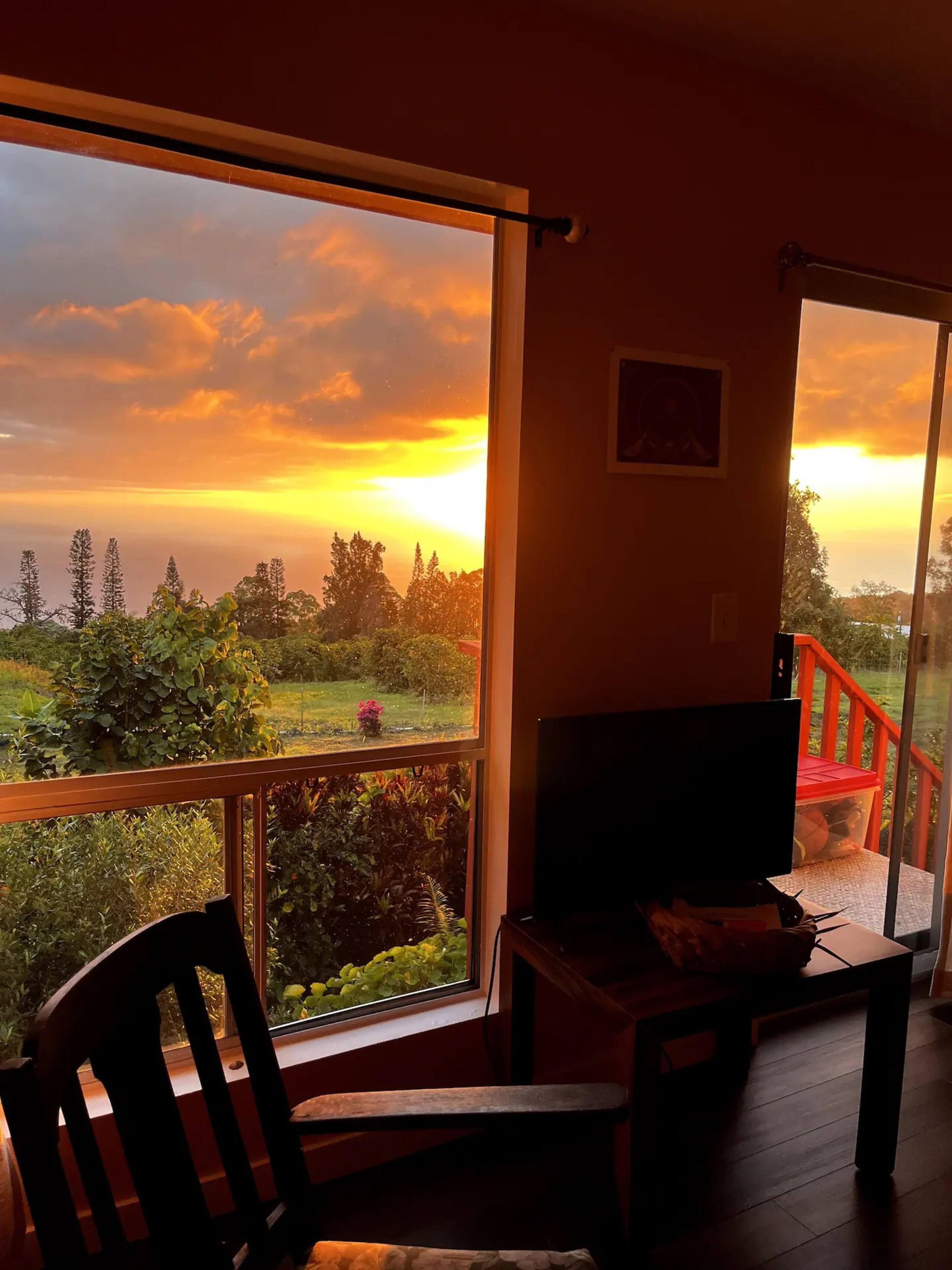 Honu Aloha Adventure Cottage - Photo 4