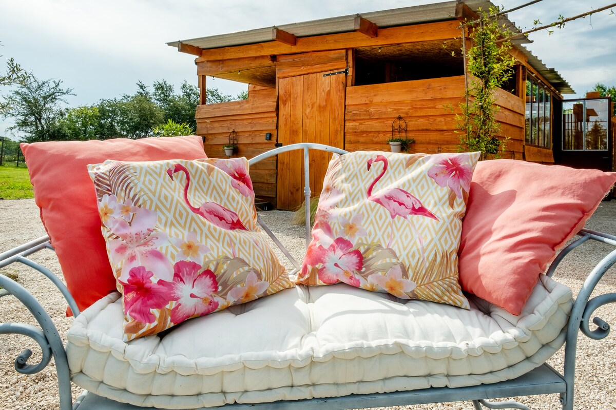 An outdoor seating area is featured with a comfortable bench adorned with decorative cushions displaying floral patterns. The background includes a wooden structure, surrounded by greenery, providing a relaxing atmosphere.