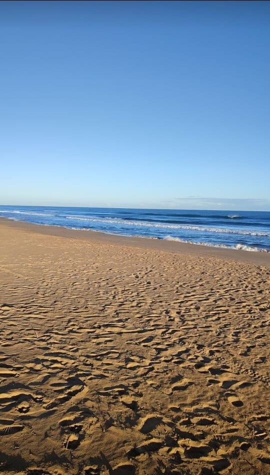 A sandy beach stretches along the shoreline, with gentle waves lapping at the edge. The clear blue sky meets the horizon, providing a serene backdrop. The beach is devoid of people, allowing for an unobstructed view of the expansive coastline.