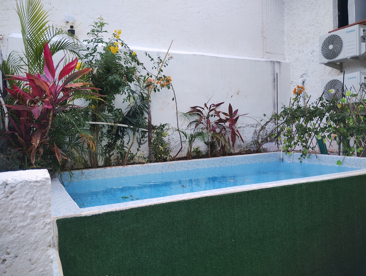A small pool is nestled within a landscaped area, surrounded by vibrant tropical plants and flowers. The pool features clear blue water, contrasting with the green artificial grass at its edge. White walls provide a neutral backdrop to the secluded space.