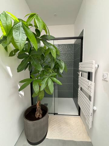 Superbe échoppe centre ville Talence Piscine gallery image 5