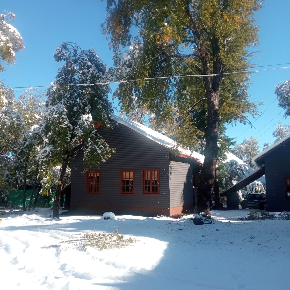 A charming cabin is nestled among snow-covered trees, with a gray exterior contrasted by bright orange window frames. The roof is blanketed in fresh snow, and the ground is covered in a thick layer of white, creating a serene winter landscape.