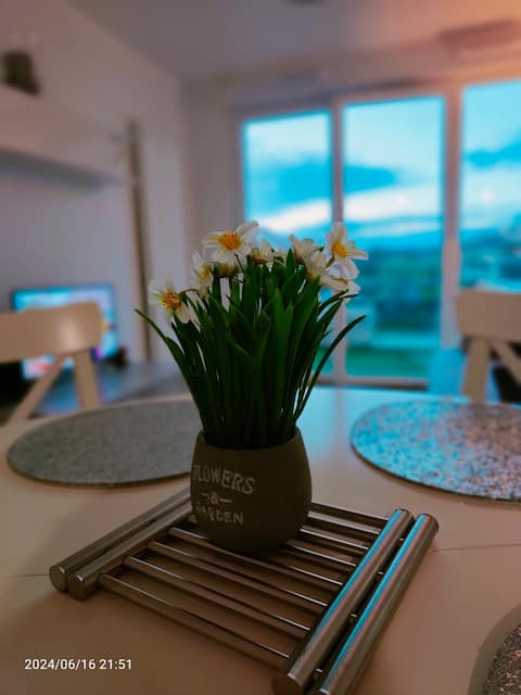 cozy, bright, quiet apartment ideally located