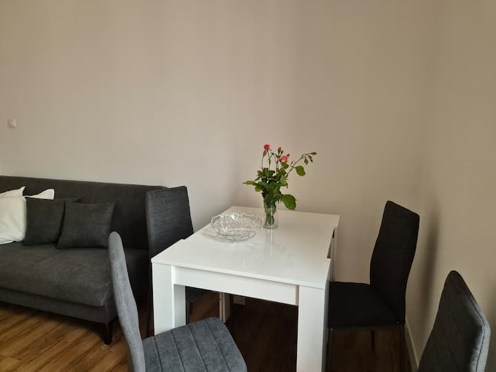 Appartamento Ristrutturato - Alessandria