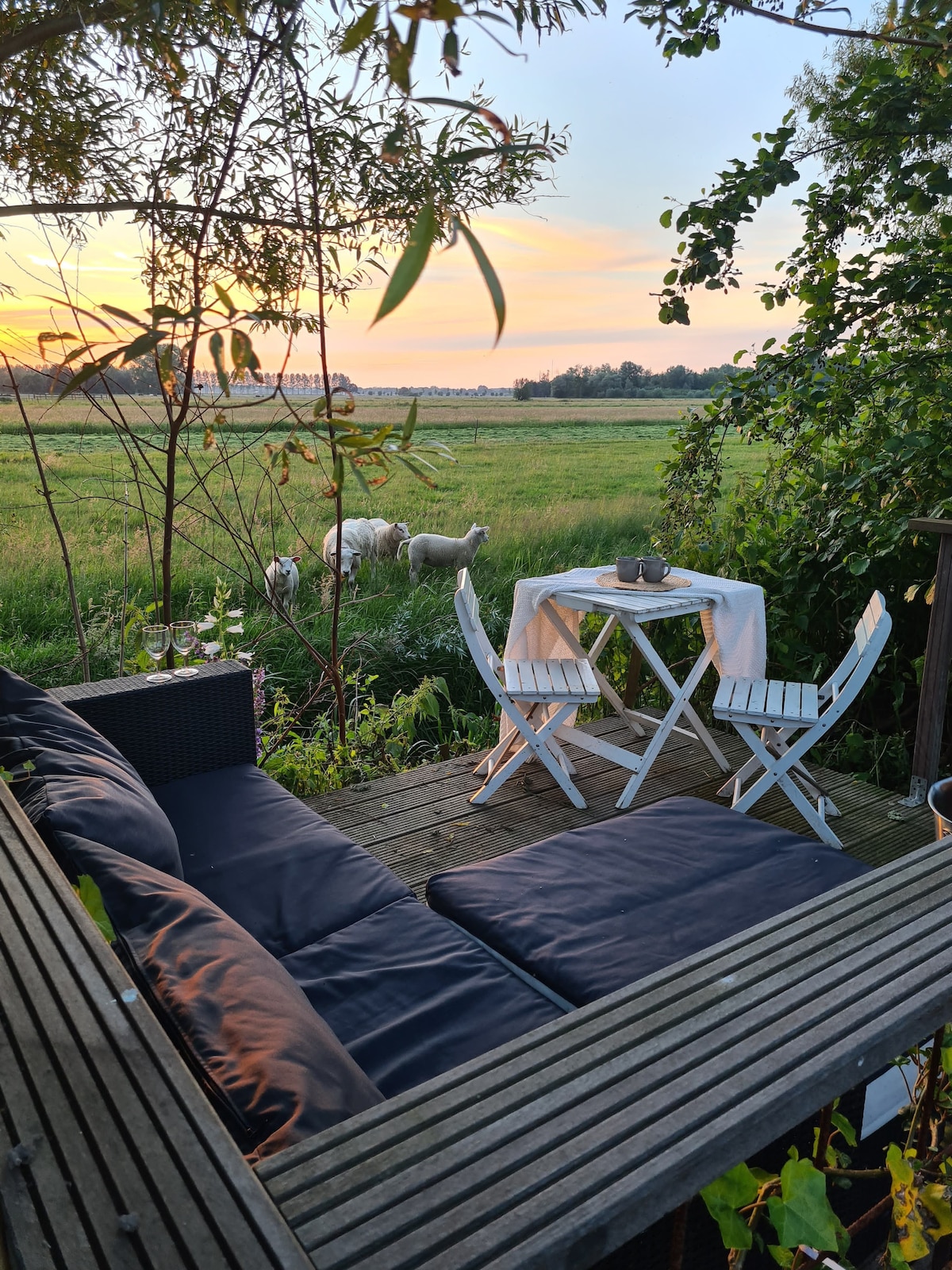 A small outdoor seating area is shown, featuring a cushioned black sofa and a white table set for two. The backdrop includes a serene view of grazing sheep in a green field at sunset, with soft hues illuminating the sky.