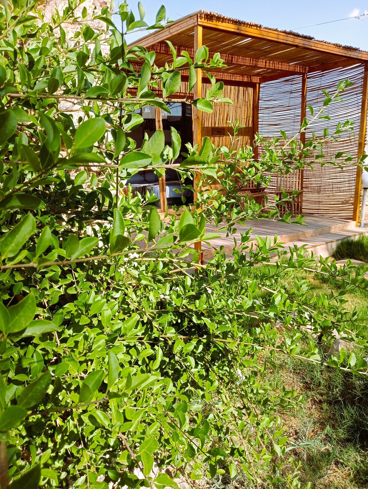 غرفة النوم 5