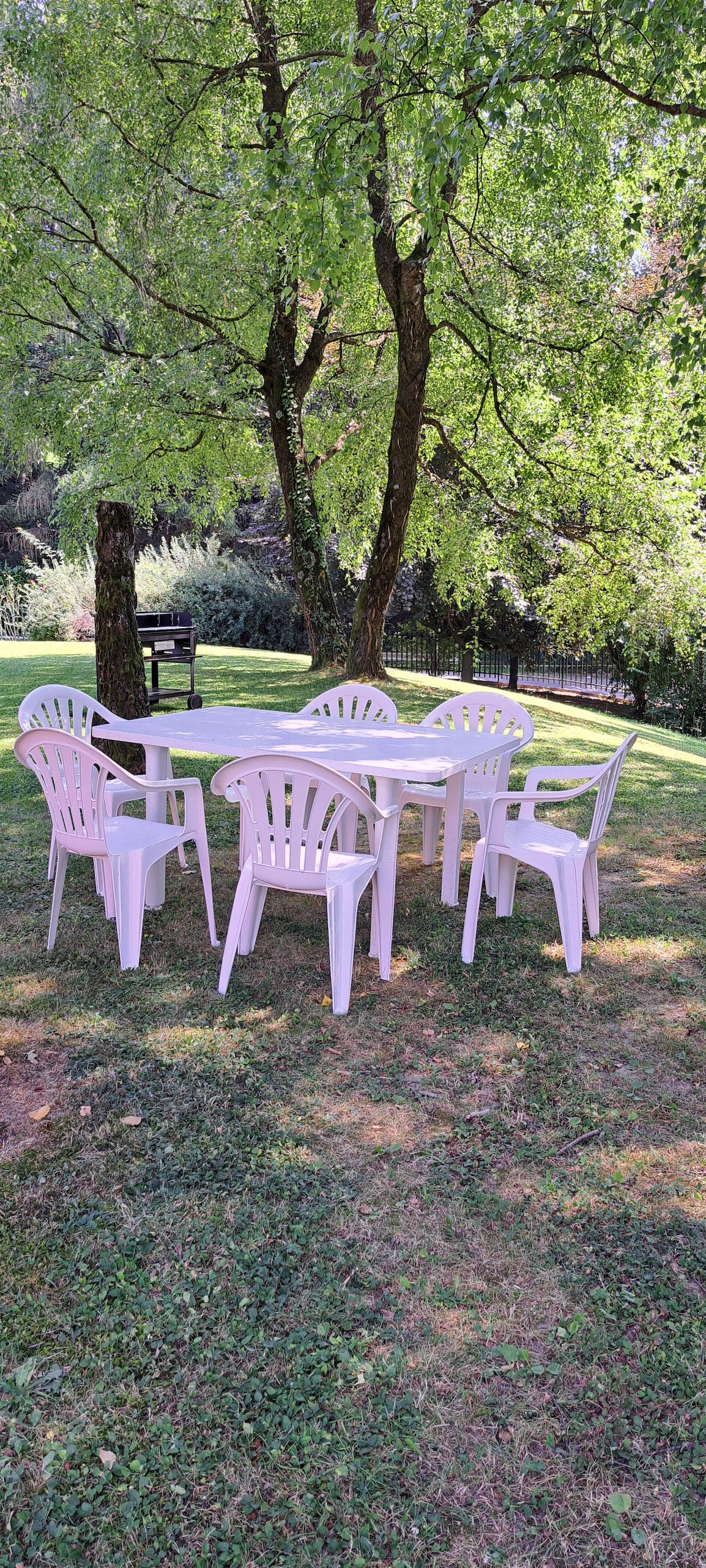 A dining area set in a green outdoor space features a rectangular table surrounded by six plastic chairs. The table is situated on grassy ground, beneath the shade of trees, creating a pleasant environment for al fresco meals.