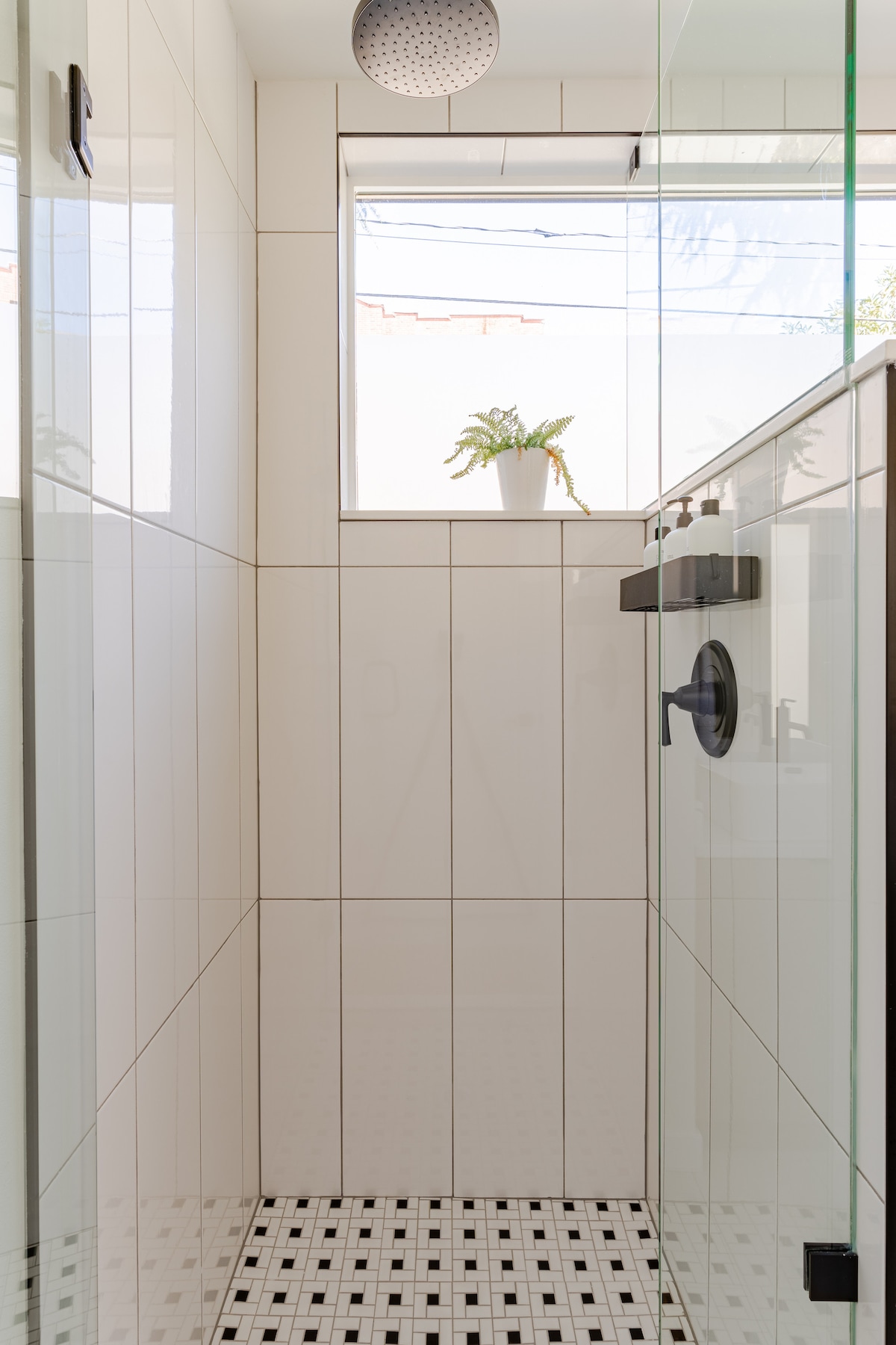 Modern Bright Clean