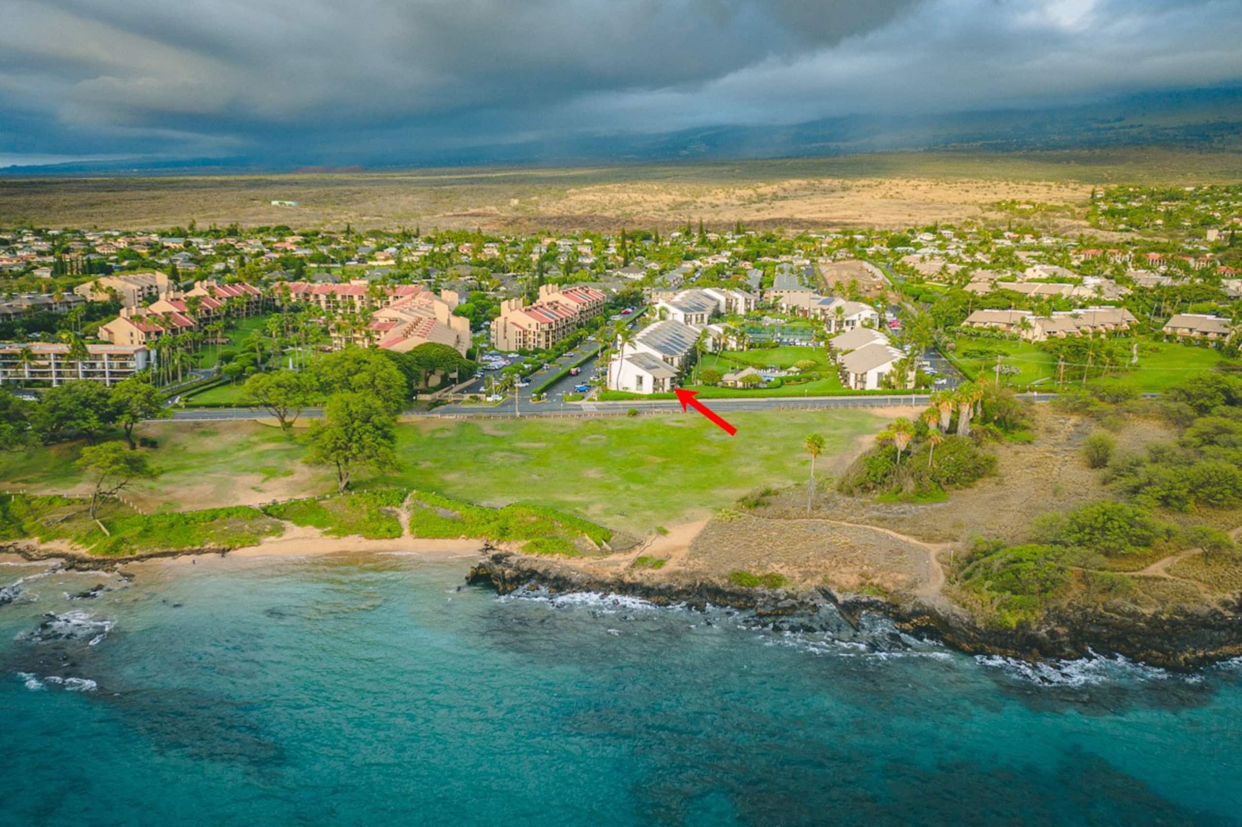 Condo in Kihei · ★4.91 · 1 bedroom · 1 bed · 1 bath - Image 1