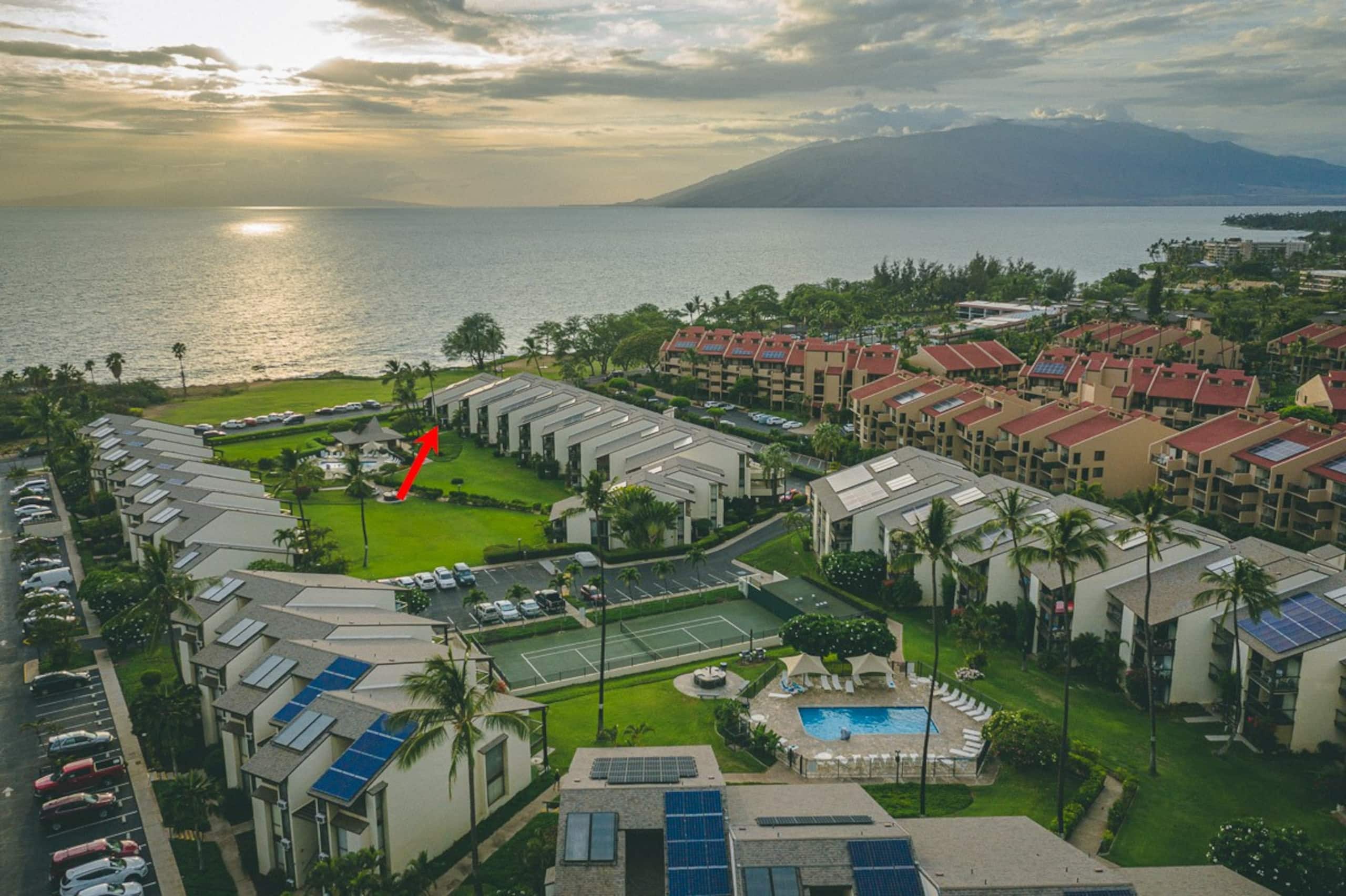 Condo in Kihei · ★4.91 · 1 bedroom · 1 bed · 1 bath - Image 41