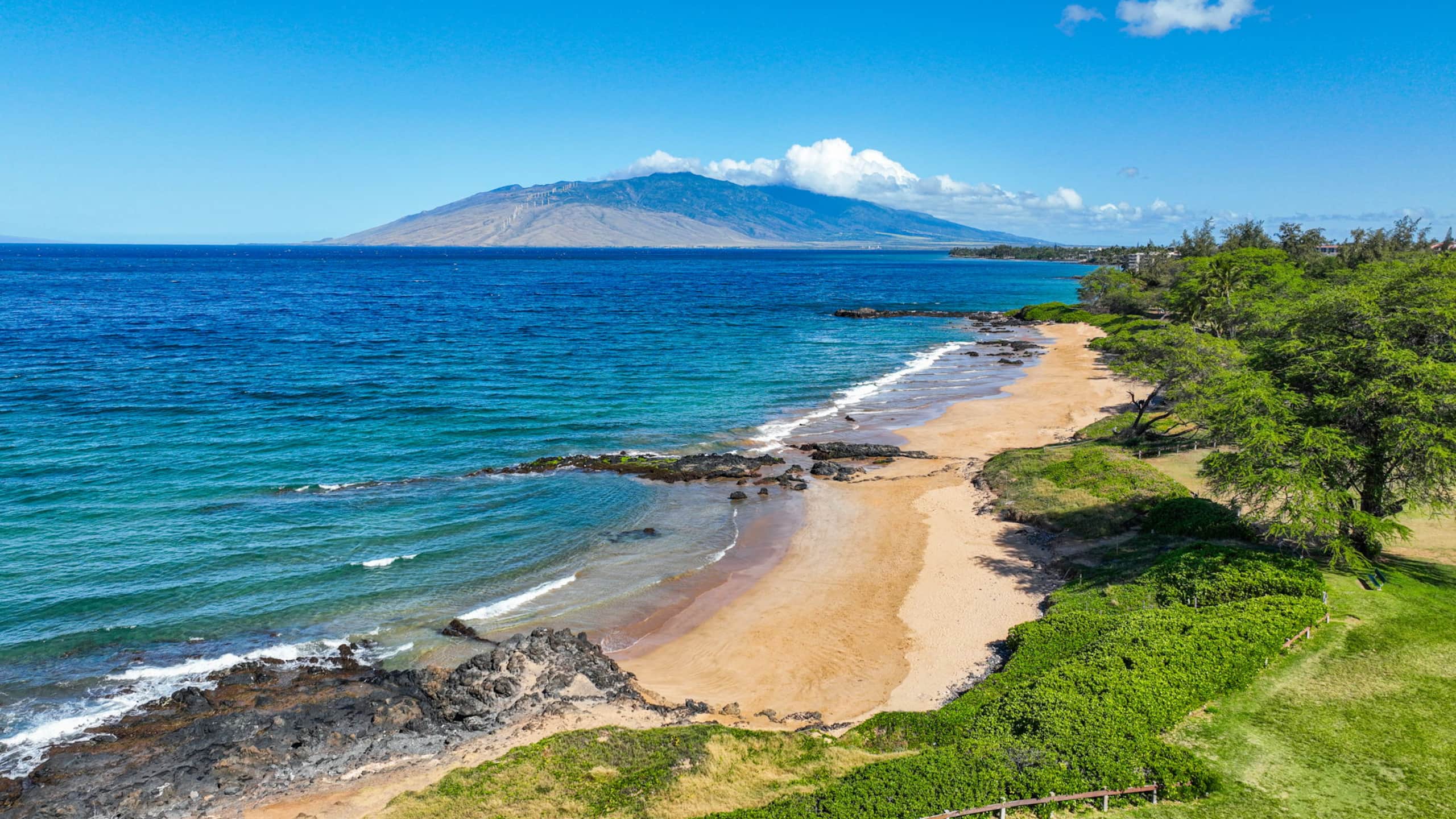 Condo in Kihei · ★4.91 · 1 bedroom · 1 bed · 1 bath - Image 47