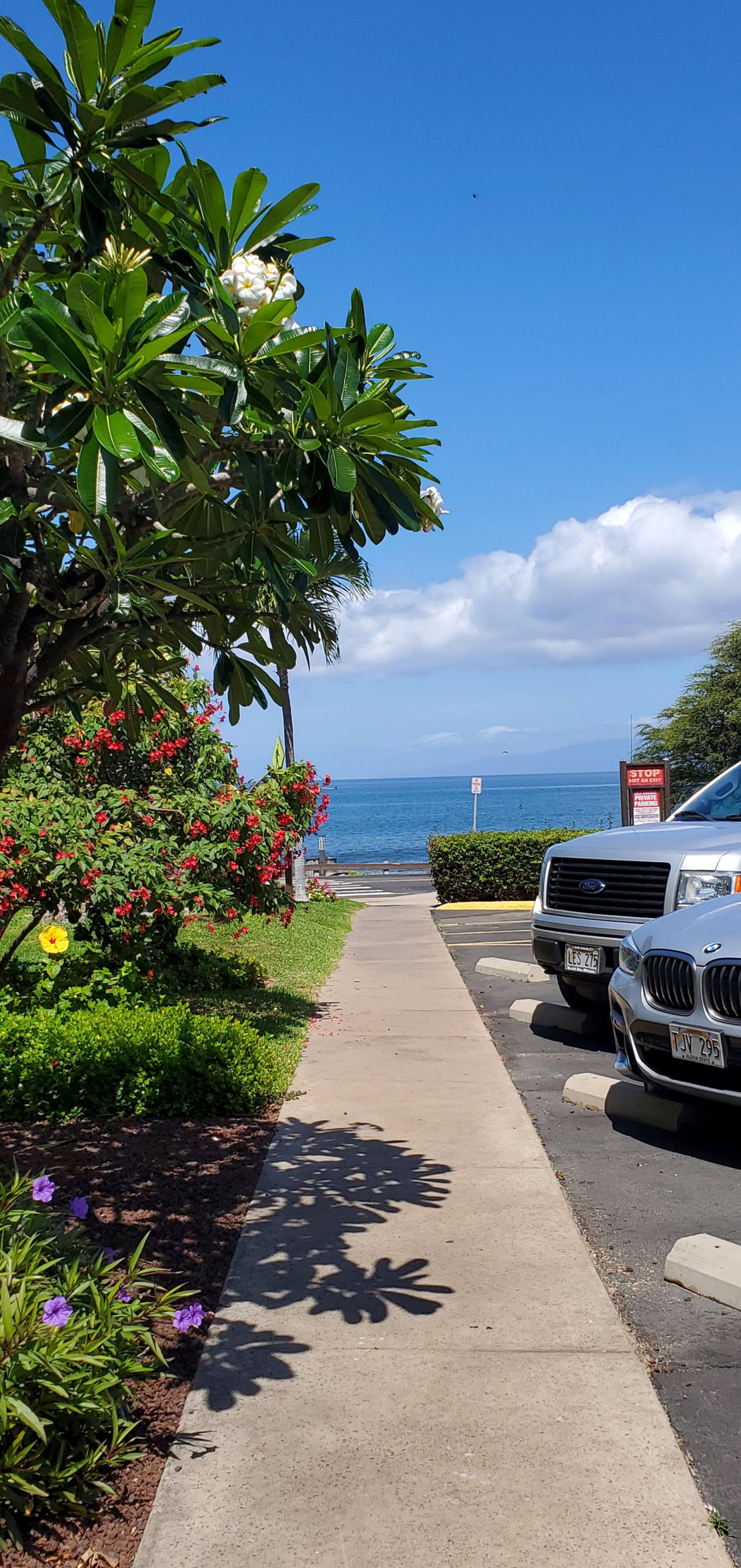 Condo in Kihei · ★4.91 · 1 bedroom · 1 bed · 1 bath - Image 34