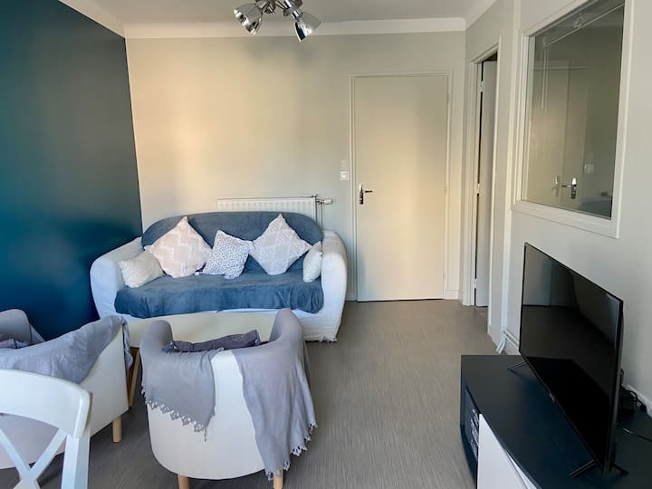 Appart Calme 2 Ch Cœur Ville - ibis Styles Nantes Centre Place Royale