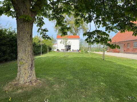 'COOL' cottage, in the middle of the fields.