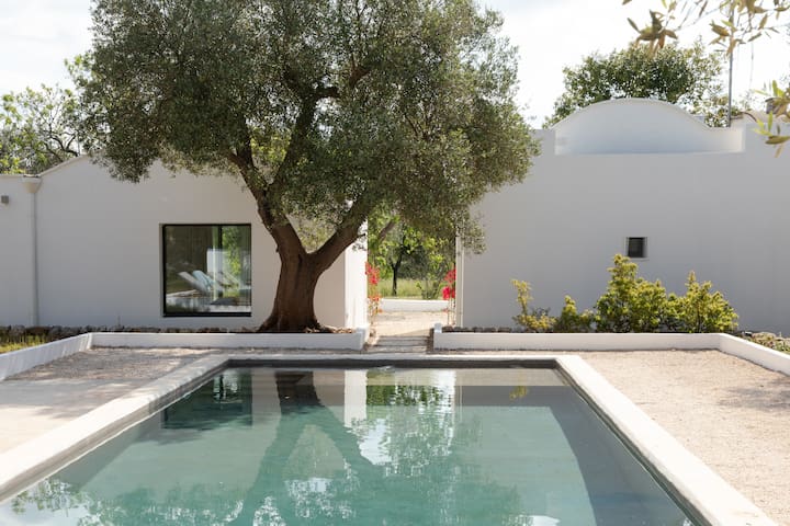Luxurious Villa in Olive Groves with Pool & Gym