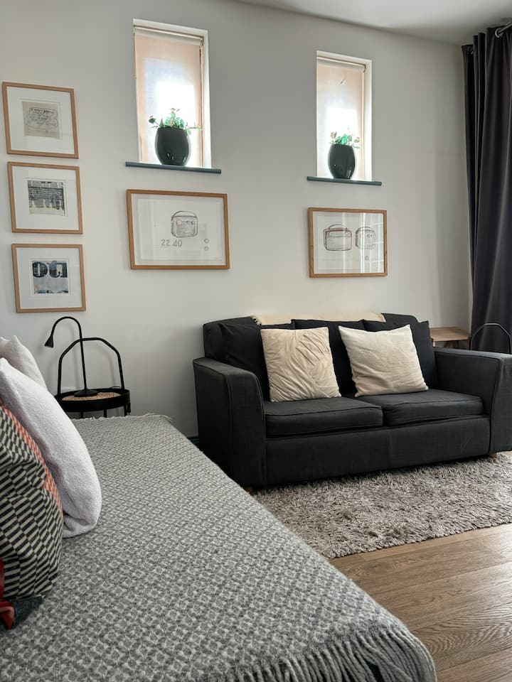 Great House In Vibrant Stoneybatter - Dublín