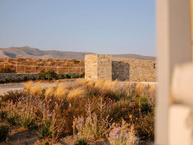 Villa Yara gallery image 4