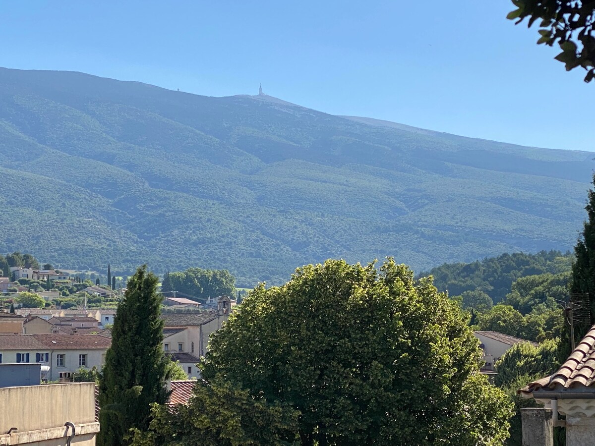 A panoramic view of the Mont Ventoux is presented, showcasing its lush greenery and gentle slopes. The foreground features trees, while the village rooftops are partially visible, contributing to the serene landscape under a clear blue sky.