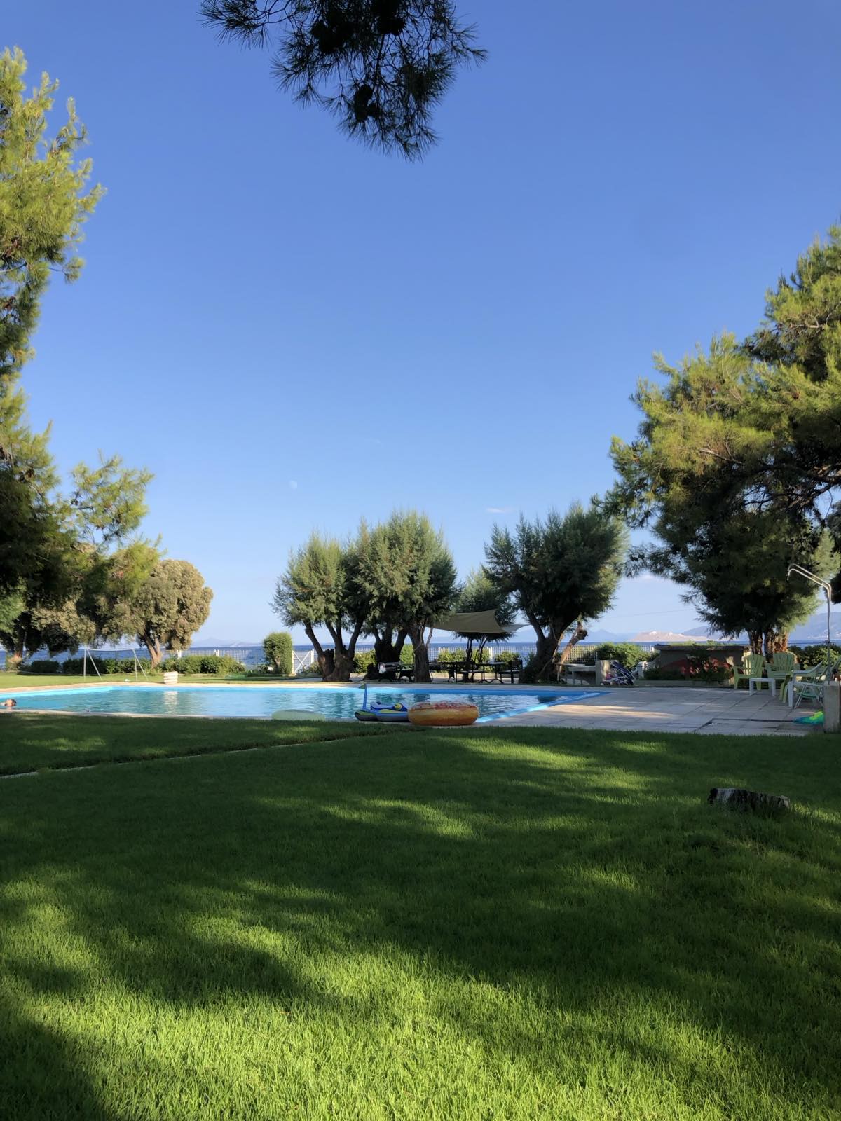 A serene outdoor area features a well-maintained swimming pool surrounded by lush green grass and tall trees. The blue sky and distant sea are visible beyond the trees, creating a peaceful atmosphere. Lounge chairs and shaded seating areas are subtly integrated into the landscape.