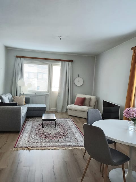Bright and spacious two-room apartment in Hollihas