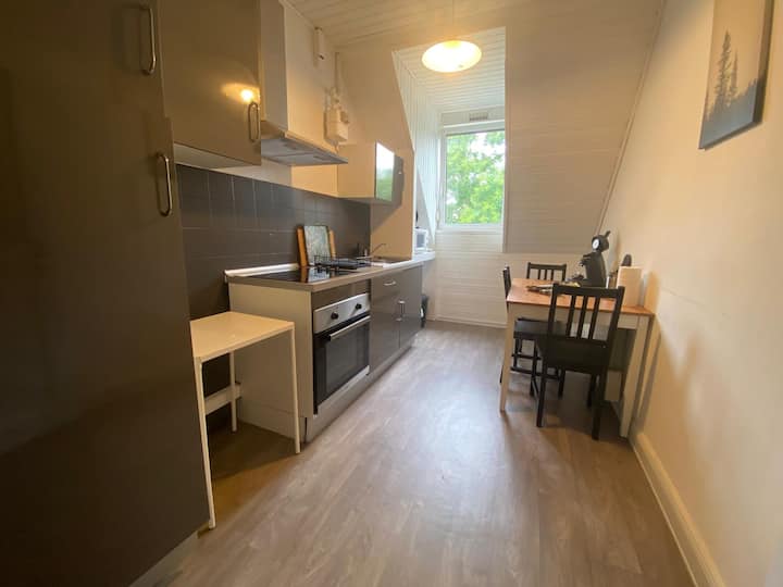 Bel Appartement  Lumineux - Sausheim