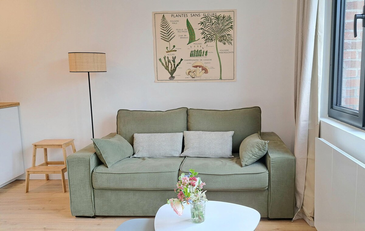 Top performing Airbnb: Studio with terrace - Ascq / Pierre Mauroy Stadium in Villeneuve D'ascq