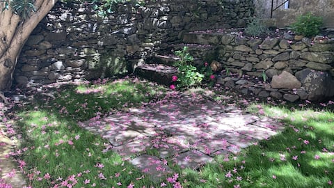 Vacation home rental