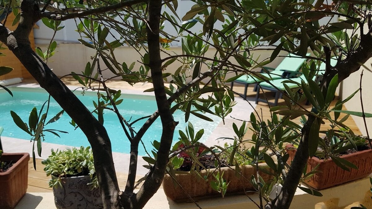 A private pool is visible, surrounded by a wooden deck and green lounge chairs. Potted plants, including succulents, are arranged along the edge, while a small tree provides shade, enhancing the serene atmosphere of the outdoor space.