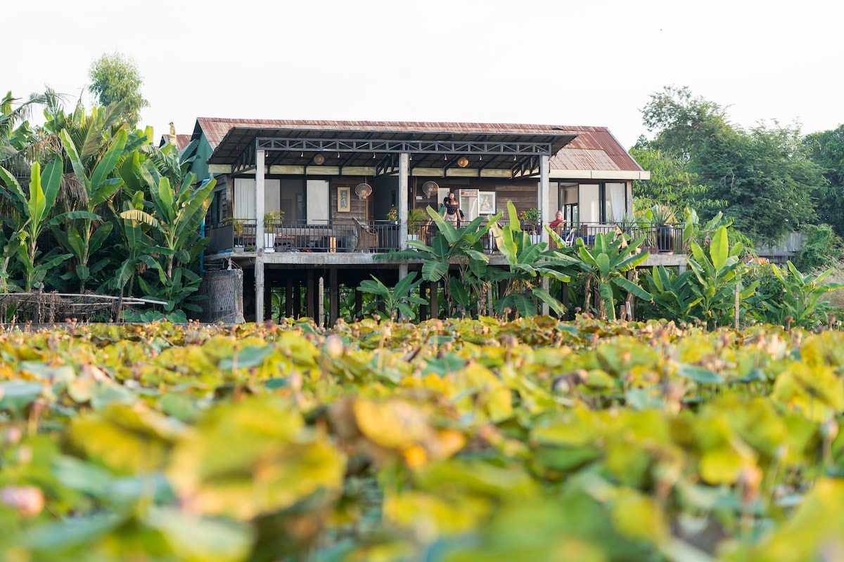 The building features a wooden exterior set on stilts, surrounded by lush green lotus plants. A spacious patio extends outward, providing access to views of the plant life and natural surroundings. The roof boasts a subtle slope, contributing to the overall rustic charm.