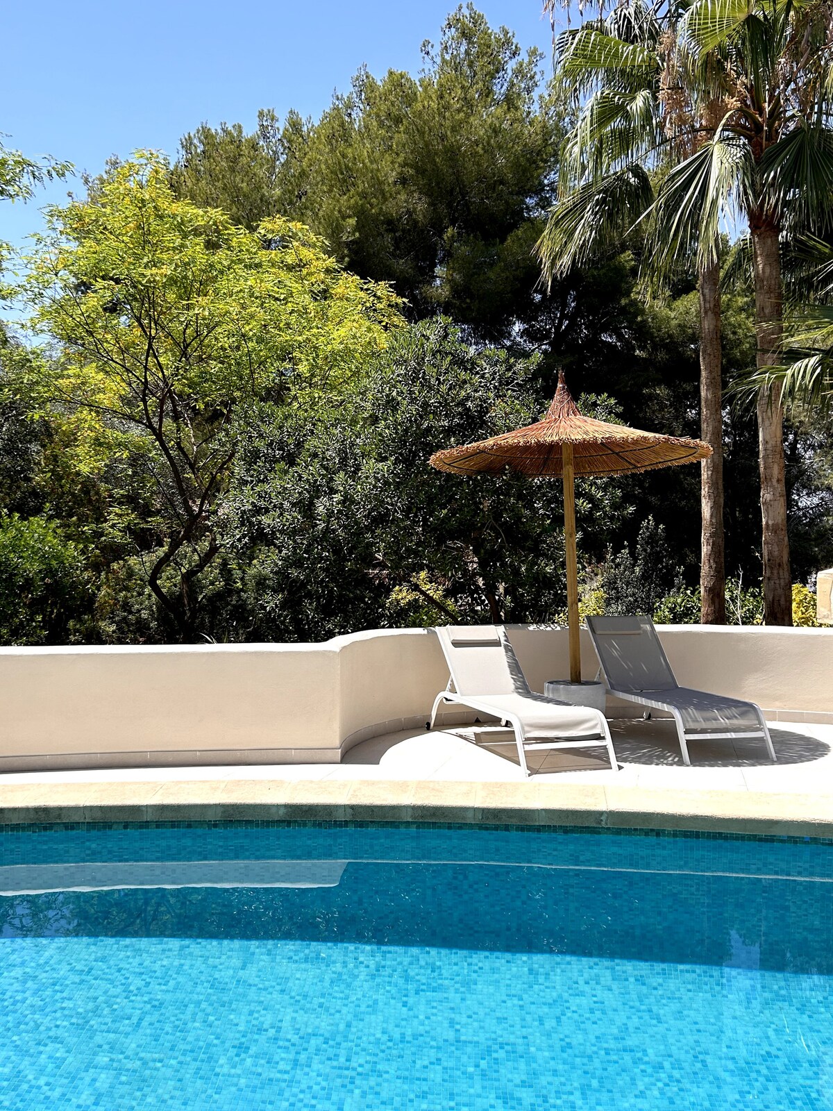 A shared swimming pool is surrounded by lush greenery, featuring a thatched umbrella providing shade. Two lounge chairs are positioned beside the pool, inviting relaxation. The scene is set in a serene outdoor environment, highlighted by sunlight filtering through the trees.