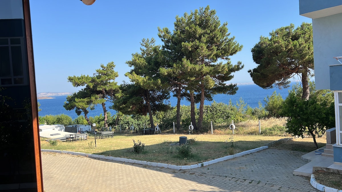 A serene outdoor scene showcases a view of lush greenery and a clear blue sea in the distance. Tall pine trees provide shade, enhancing the natural landscape. A well-maintained pathway runs through the area, creating a welcoming atmosphere for relaxation.