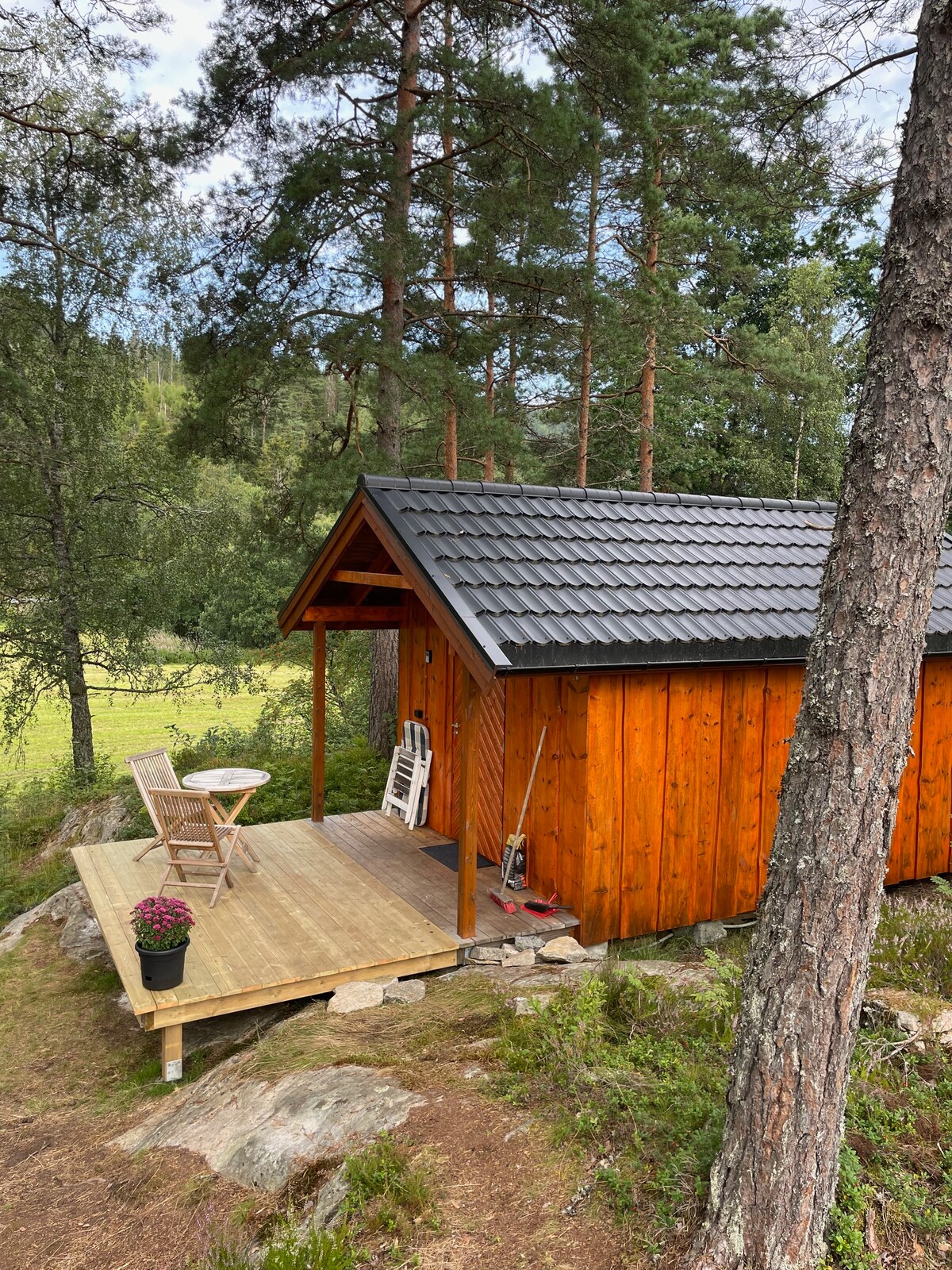 A wooden cabin featuring a sloped roof and a welcoming porch area. Two outdoor chairs and a small table are positioned on a deck, accompanied by a potted plant. Surrounding trees provide a natural backdrop to the cabin's rustic exterior.