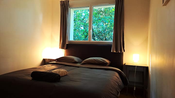 可能提供两张单人床。