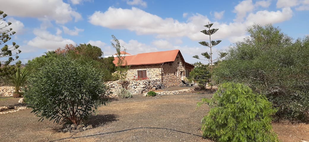 listing_image