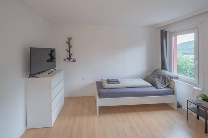 Apartment For Group Travelers - Ob01 - Oberndorf am Neckar