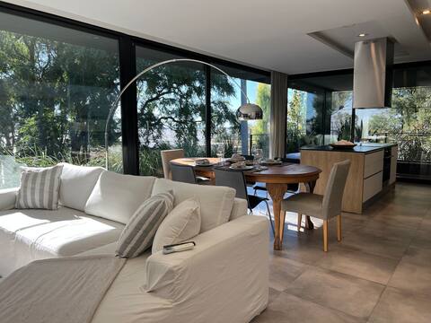 Elegant Minimalist Design House with Rio View