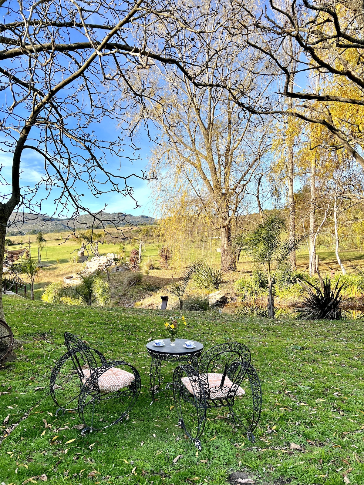 A tranquil outdoor seating area is set on a grassy lawn, featuring a small round table and two wrought iron chairs. A floral centerpiece adds a touch of color, while trees and gentle hills form a peaceful backdrop under a clear blue sky.