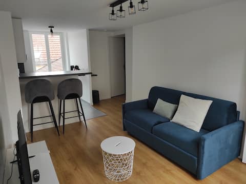 cozy apartment - 8 min Parc Astérix /13 min CDG