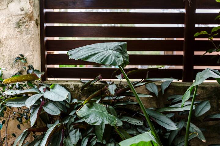 Karri Keep – 3 Bedrooms 3 Bathrooms Town House gallery image 4