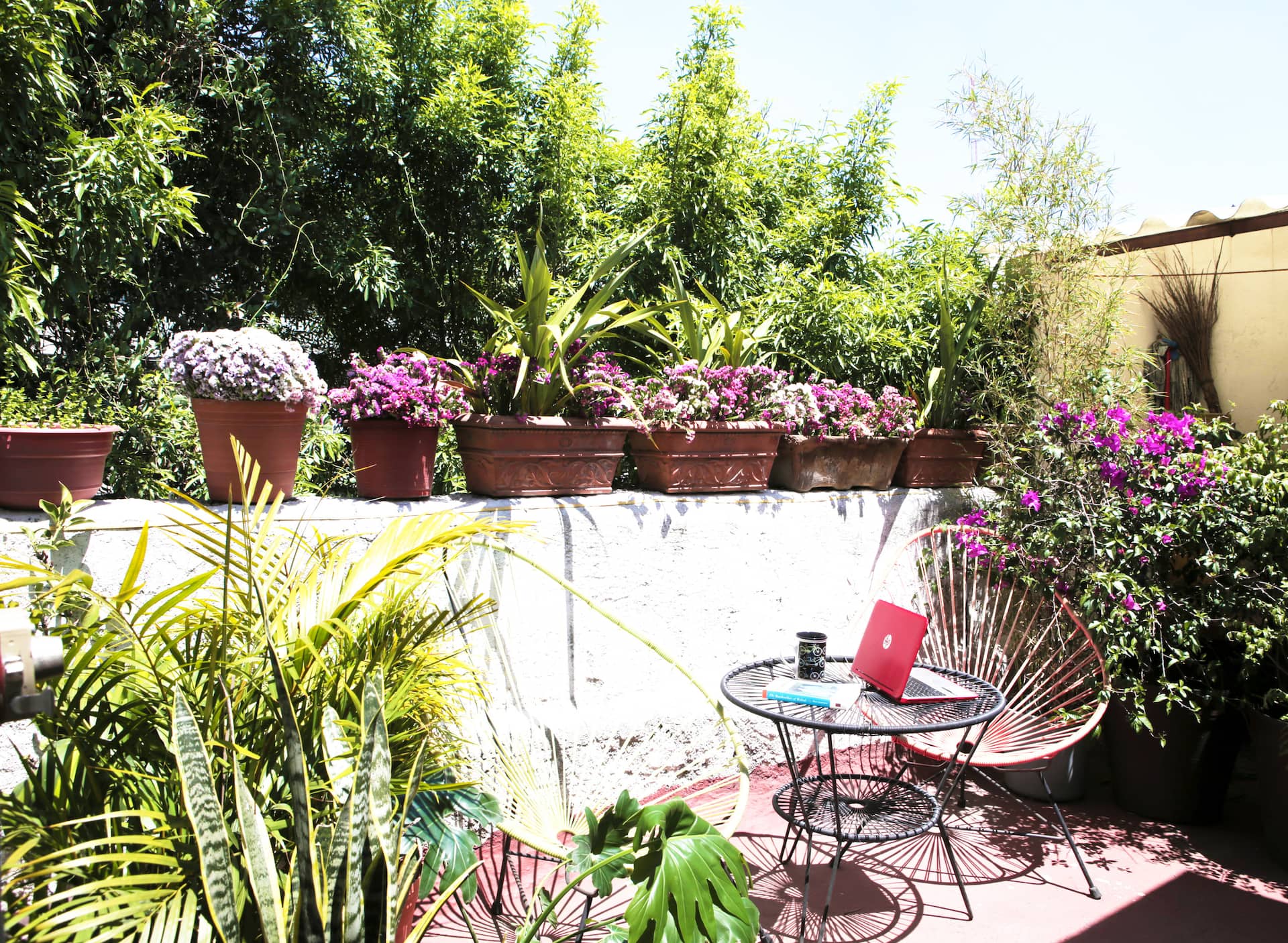 Lovely apartment @Roma Norte — photo 3