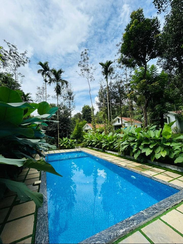 A bright outdoor pool is surrounded by lush greenery, featuring tall trees and leafy plants. The clear blue water of the pool reflects the sky, while a paved walkway leads to the pool area, creating a serene and inviting space for relaxation.